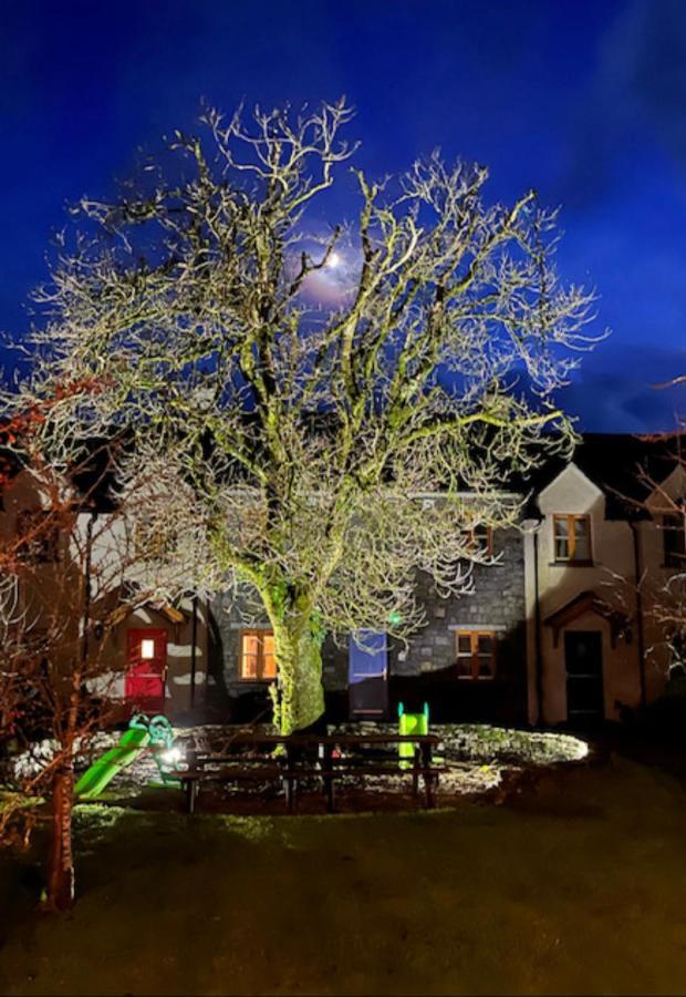 Burren Court Lodge แบลลีย์วอน ภายนอก รูปภาพ