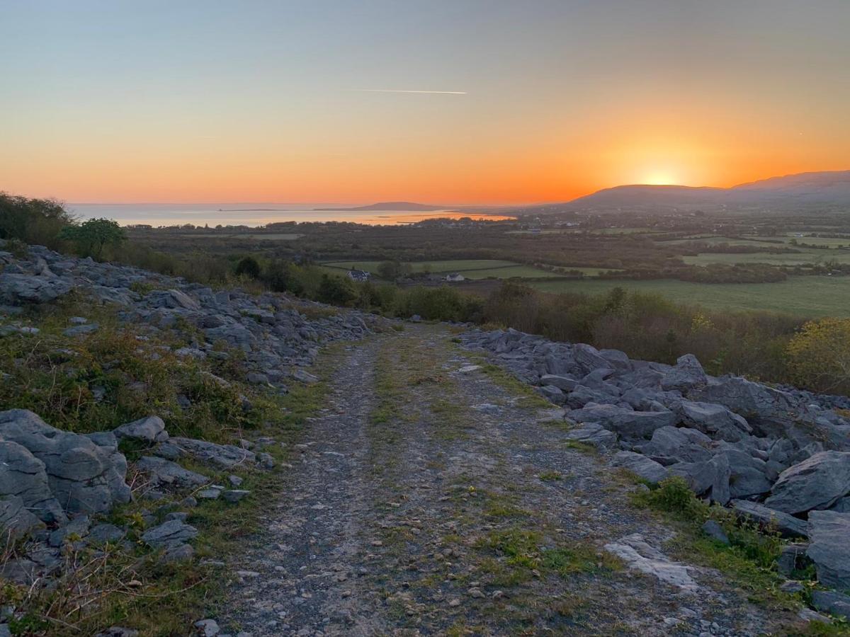Burren Court Lodge แบลลีย์วอน ภายนอก รูปภาพ