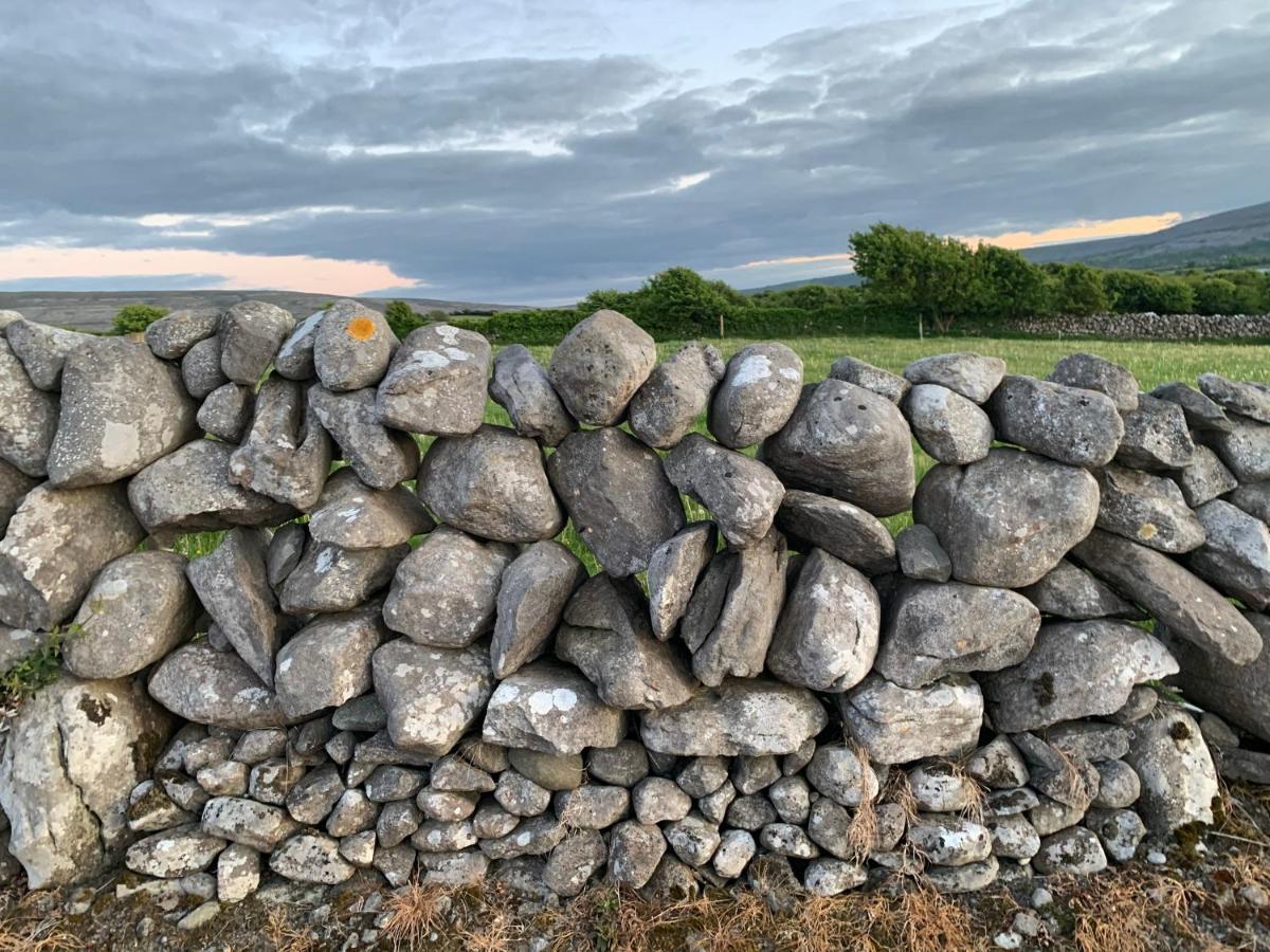 Burren Court Lodge แบลลีย์วอน ภายนอก รูปภาพ