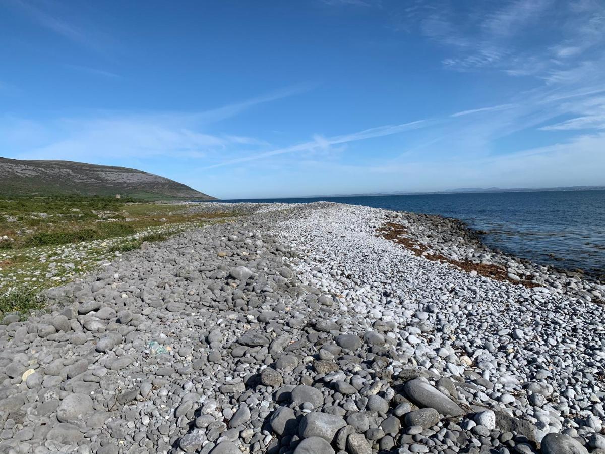 Burren Court Lodge แบลลีย์วอน ภายนอก รูปภาพ