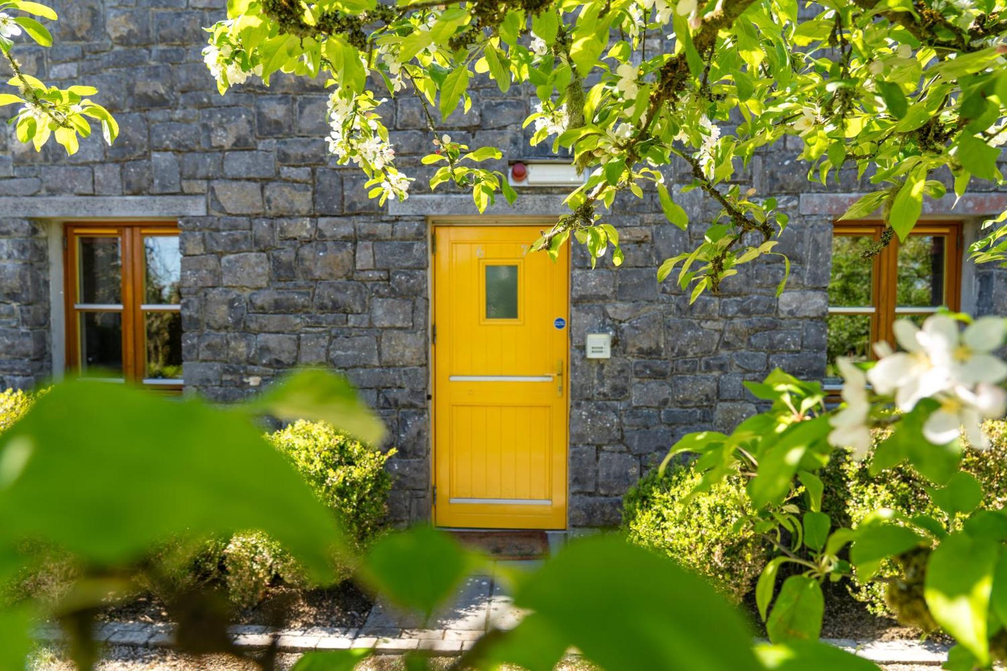 Burren Court Lodge แบลลีย์วอน ภายนอก รูปภาพ