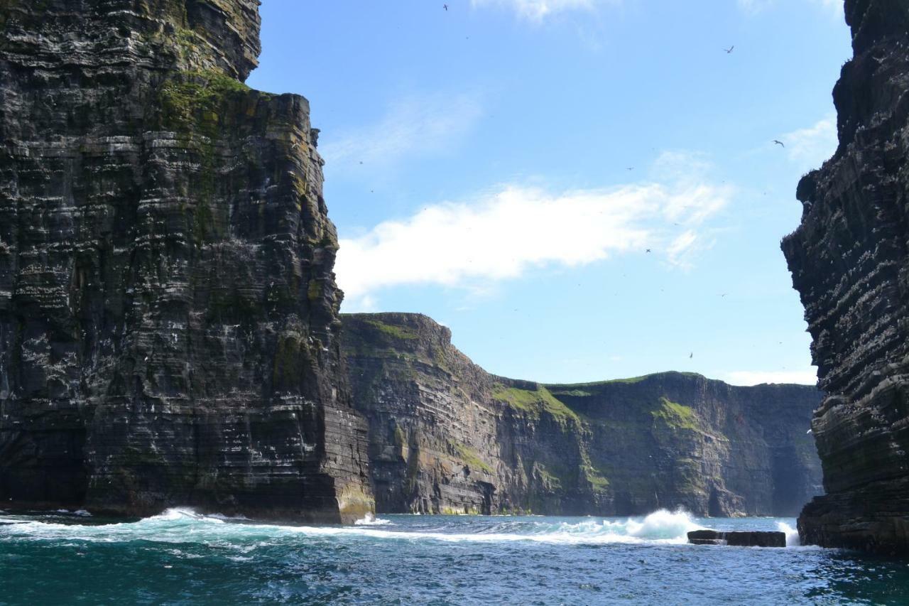 Burren Court Lodge แบลลีย์วอน ภายนอก รูปภาพ
